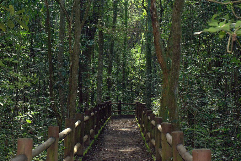 Fotografia de uma trilha na floresta no Parque Nacional de Brasília, com parapeitos de troncos de madeira dos dois lados