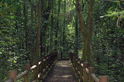 Fotografia de uma trilha na floresta no Parque Nacional de Brasília, com parapeitos de troncos de madeira dos dois lados.