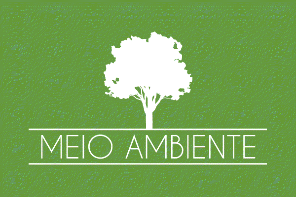 Arte de fundo verde com a expressão meio ambiente escrita com letras brancas e o desenho de uma árvore por cima