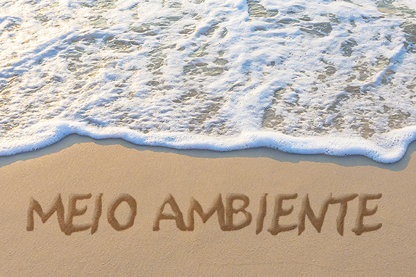 Arte mostra, ao fundo, foto de paisagem espuma do mar e areia da praia, e a expressão 'Meio Ambiente' escrita em letras marrons.
