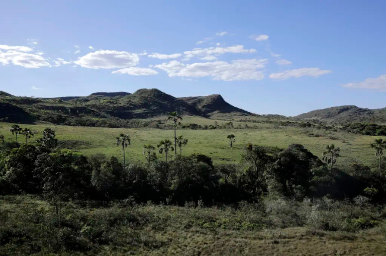 Foto mostra vista do cerrado do território quilombola Kalunga, com extensas áreas de vegetação baixa e céu azul
