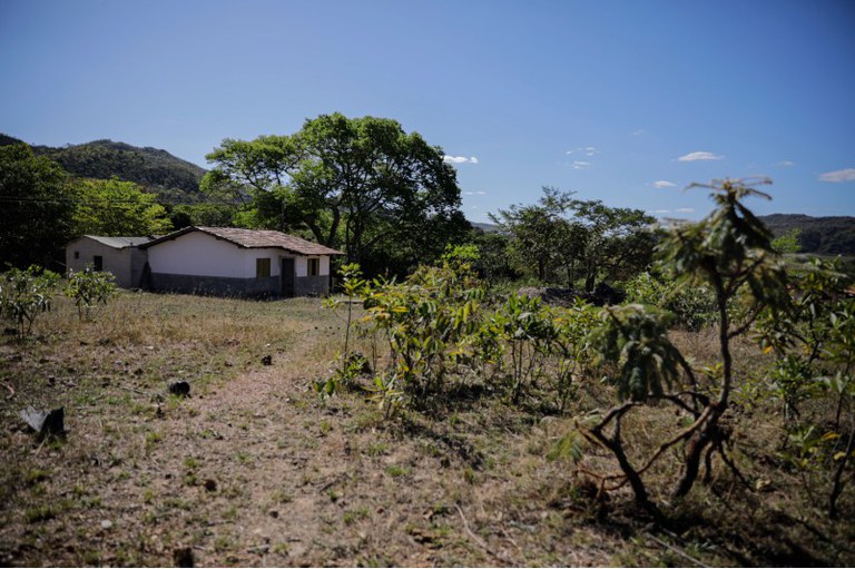 vista da comunidade quilombola Kalunga mostra árvores e uma casa em uma área rural