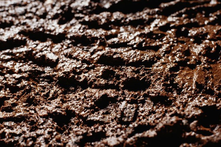 Imagem mostra um pouco de lama úmida