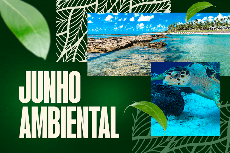 Um banner digital com fundo verde-escuro texturizado apresenta o texto em destaque "JUNHO AMBIENTAL" escrito em letras maiúsculas e alongadas na cor bege clara, localizado no canto inferior esquerdo. O design é composto por colagens de fotos e elementos gráficos da natureza: no centro superior, há uma foto retangular de uma praia tropical com águas cristalinas, recifes de corais expostos e coqueiros ao fundo sob um céu azul ensolarado; abaixo e à direita, uma foto menor destaca uma tartaruga-marinha nadando próxima ao fundo do mar arenoso. Folhas verdes realistas flutuam suavemente sobre a composição, que também conta com grafismos estilizados que imitam os veios de folhas em tons claros nos cantos superior esquerdo e inferior direito.