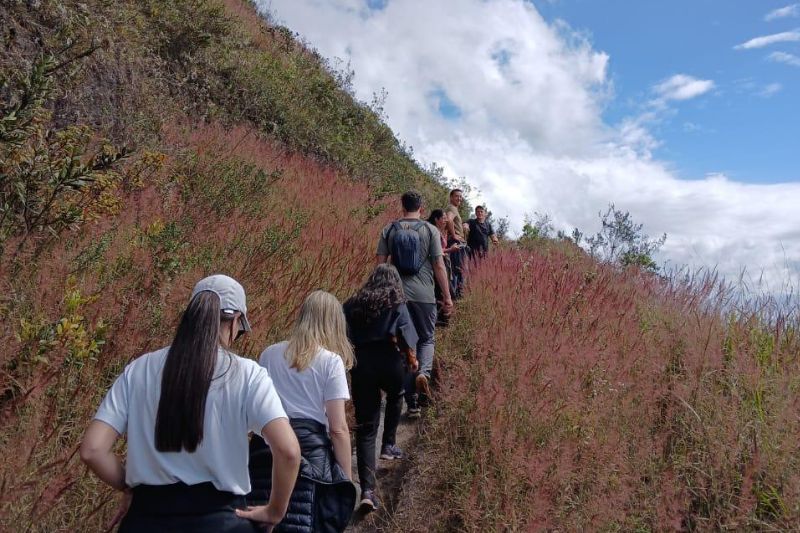 Cópia de Banner para intranet Formato 800x533px (14).jpg