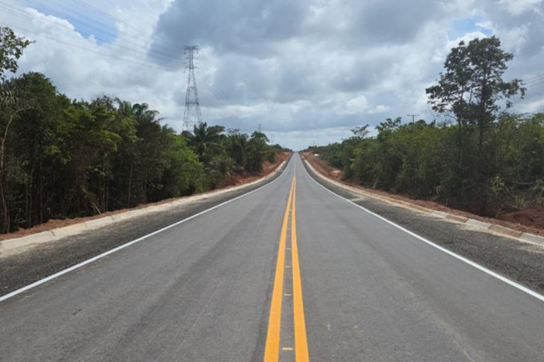 Foto mostra uma rodovia com vegetação nas duas margens