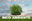 MPF aciona Justiça para garantir segurança de barragem em Nova Era (MG)