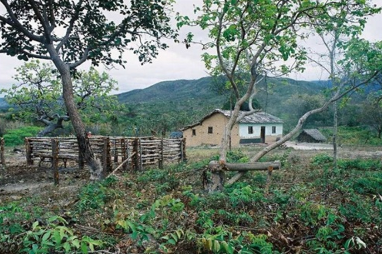 Fotografia de uma área rural com uma casa rústica de paredes de barro e telhado de telhas cerâmicas ao centro. À esquerda, há um cercado feito de troncos de madeira (curral) sob a sombra de árvores retorcidas típicas do cerrado. O solo é coberto por vegetação rasteira e arbustos verdes. Ao fundo, observa-se uma cadeia de montanhas sob um céu nublado. À direita da casa principal, vê-se uma pequena construção de palha.