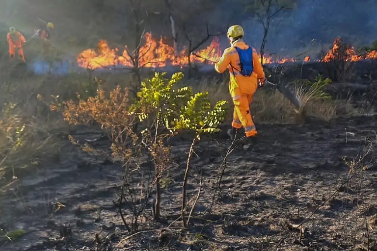 Foto mostra um bombeiro, vestido com um traje de proteção laranja, combatendo um incêndio florestal, utilizando uma mangueira para apagar as chamas que consomem a vegetação seca. Há fumaça e solo queimado ao redor.