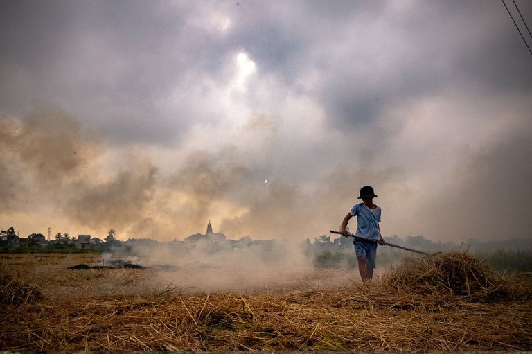 MPF obtém condenação de três réus por trabalho escravo em Minas Gerais