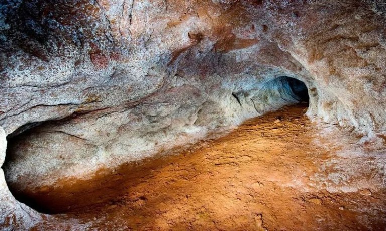 Fotografia mostra a entrada de uma toca ou cavidade subterrânea, escavada na terra.