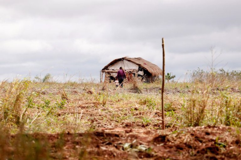Foto mostra área rural ocupada por indígenas nos arredores da reserva indígena de Dourados, na imagem, uma casinha de palha ao fundo com uma mulher e uma criança andando em sua direção; em primeiro plano um galho fincado na terra seca no meio de um pasto
