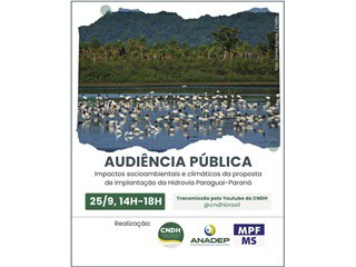 Na foto a imagem da vegetação do Pantanal.