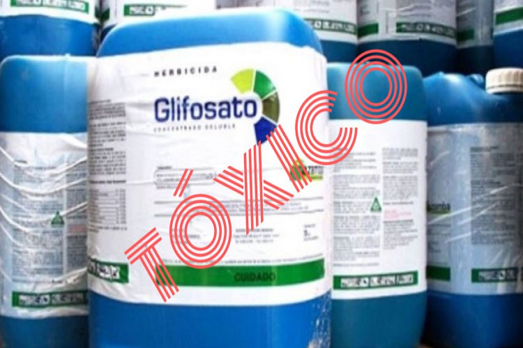 A imagem mostra galões azuis de um produto rotulado como "Glifosato", um herbicida. Sobre a imagem, em destaque, está a palavra "TÓXICO" escrita em letras vermelhas grandes, chamando atenção para os riscos do produto.