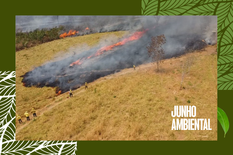 Foto aérea mostra foco de incêndio sendo combatido por agentes do ICMBio