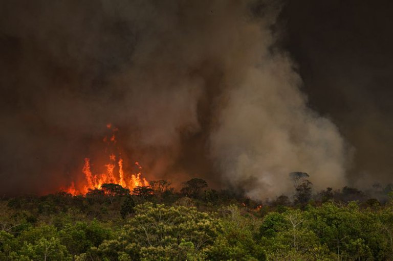 Foto de um incêndio em uma mata