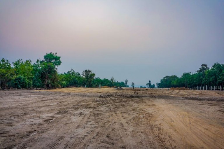 foto de uma estrada terra com árvores em cada lado