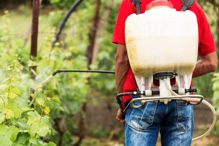 Foto mostra um homem com uma bomba de pulverização de agrotóxicos aplicando o pesticida em uma planta