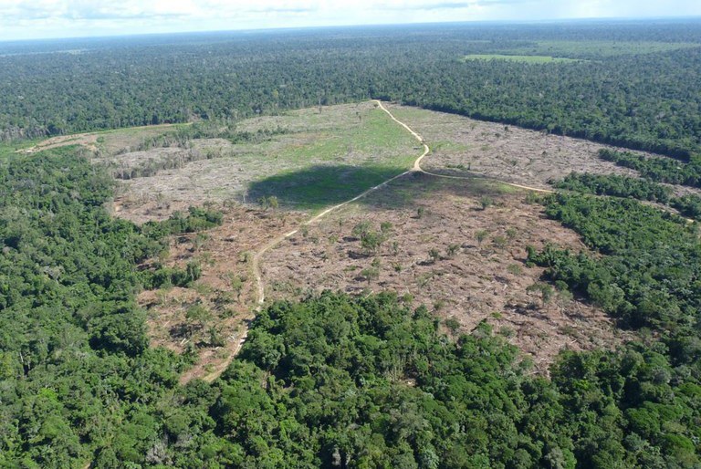 Foto aérea mostra área de floresta desmatada