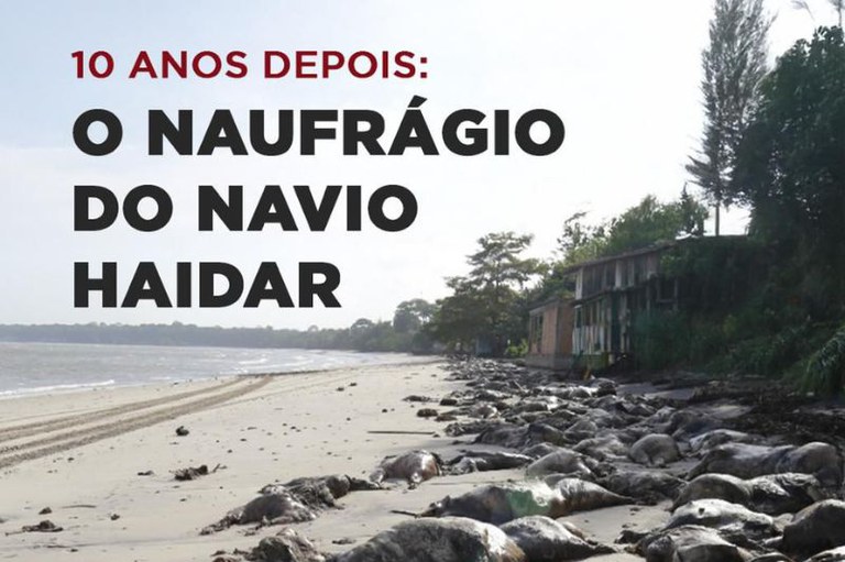 Na imagem, uma praia com carcaças de animais mortos na areia. Há um texto em vermelho e preto na parte superior esquerda: "10 anos depois: o naufrágio do navio Haidar".