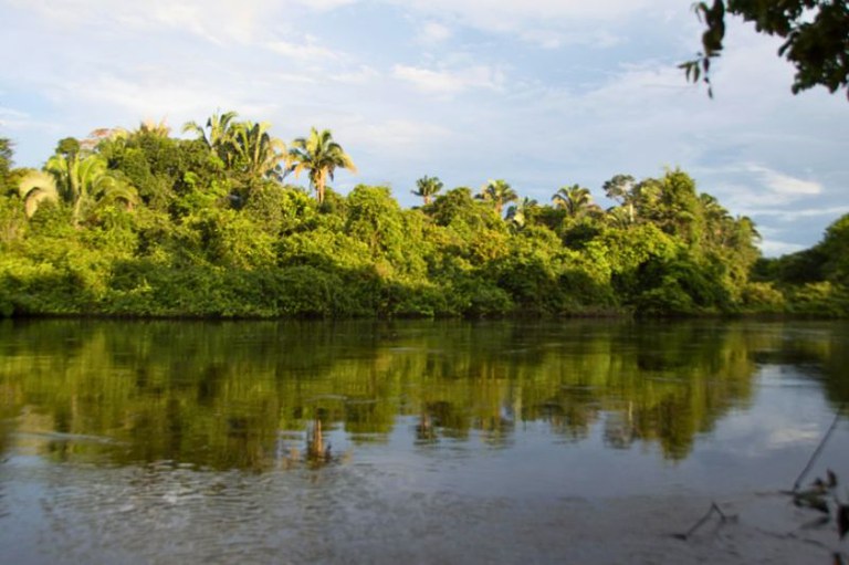 Foto de uma paisagem de um rio de águas calmas que reflete a vegetação densa e verde de uma floresta tropical em sua margem, sob um céu azul com nuvens brancas.