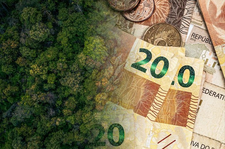 Arte com montagem de fotos de uma floresta vista de cima se mesclando com foto de notas e moedas de real.