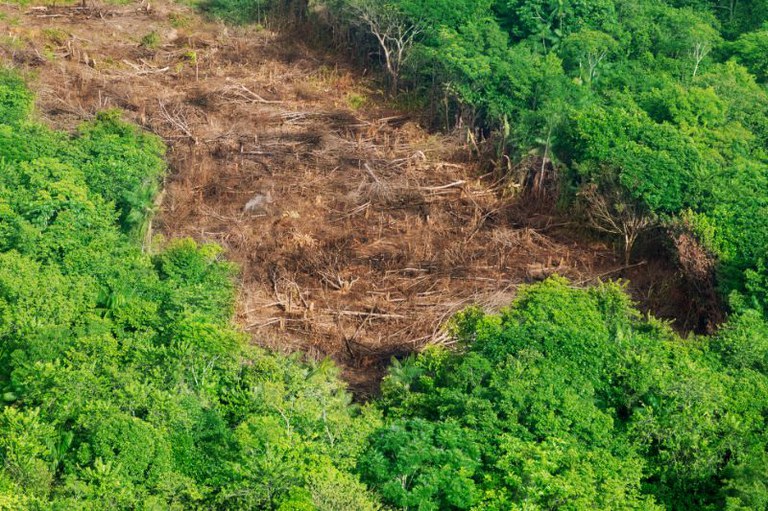 Foto aérea de uma clareira marrom e desmatada, com árvores caídas e fumaça, cercada por uma densa floresta tropical verde.