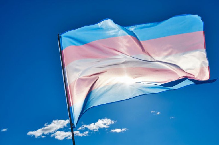 Foto mostra bandeira trans ondulando em mastro sob céu azul com sol e poucas nuvens. Possui listras horizontais azul-claro, rosa e branca no centro.