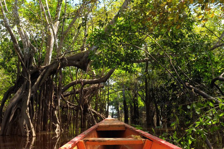 Foto de um barco vermelho navegando por um rio cercado por uma densa vegetação, com árvores de raízes expostas e folhagem verde exuberante. A luz do sol ilumina a cena, criando reflexos na água.
