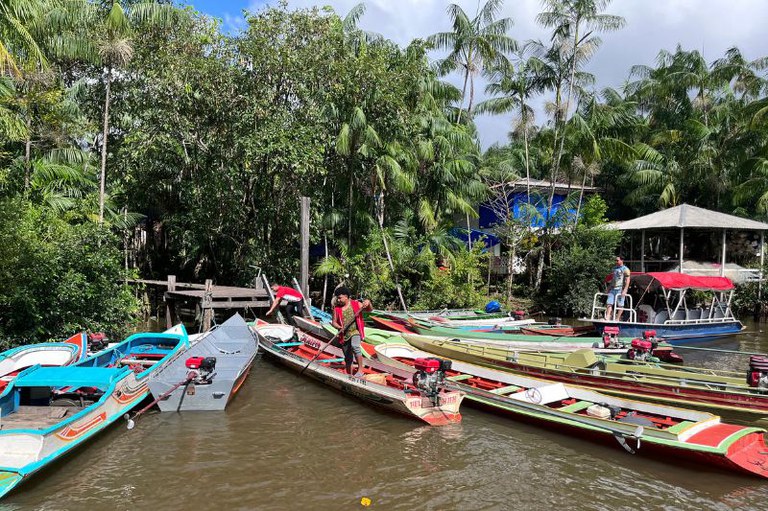 Vários barcos motorizados estão ancorados em um rio calmo, cercado por vegetação densa e palmeiras, próximo a um trapiche de madeira.
