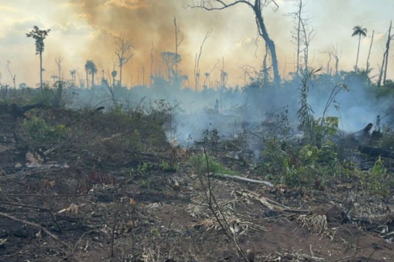 Foto de uma floresta devastada por uma queimada, com fumaça subindo ao fundo e o chão coberto de cinzas e destroços.
