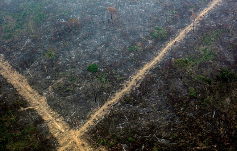 Vista aérea de uma área de floresta desmatada e queimada. O solo está coberto por cinzas e troncos caídos, com algumas árvores carbonizadas ainda de pé e poucas árvores verdes remanescentes. Uma estrada de terra clara corta a paisagem diagonalmente.
