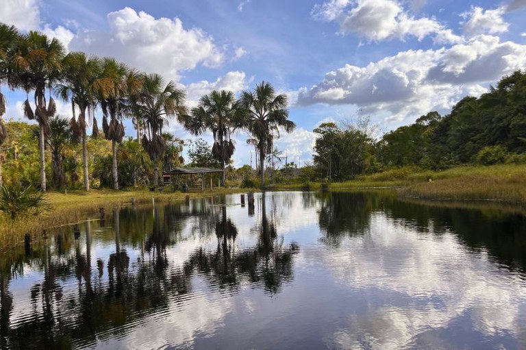 Paisagem natural com lago refletindo palmeiras, vegetação e céu azul com nuvens brancas. Ao fundo, há uma pequena estrutura coberta