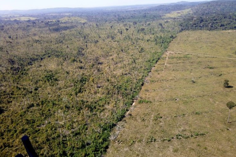 Foto aérea de uma paisagem dividida em duas partes, à esquerda vegetação densa e à direita uma área desmatada.