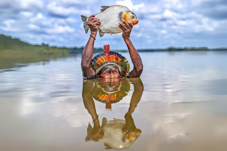 #ParaTodosVerem: Um homem com a cabeça parcialmente submersa na água segura um grande peixe prateado acima da cabeça com as duas mãos. Ele usa um cocar colorido com penas vermelhas, amarelas e pretas. A superfície da água reflete sua imagem, criando um espelhamento do homem e do peixe. Ao fundo, há um rio extenso com vegetação nas margens e um céu azul com nuvens brancas.