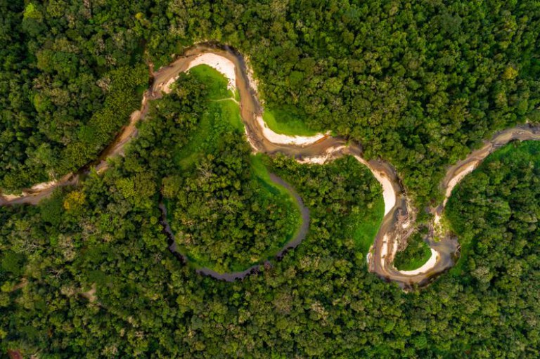 Foto de vista aérea que mostra um rio sinuoso com bancos de areia clara, que serpenteia através de uma densa floresta de vegetação verde e densa.