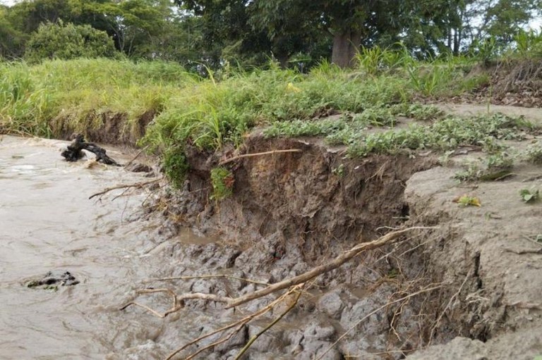 Margem de rio com terra desmoronada, raízes expostas e grama no topo, sob águas barrentas e árvores ao fundo.