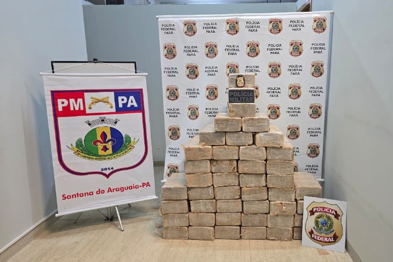 Foto mostra pacotes da droga empilhados