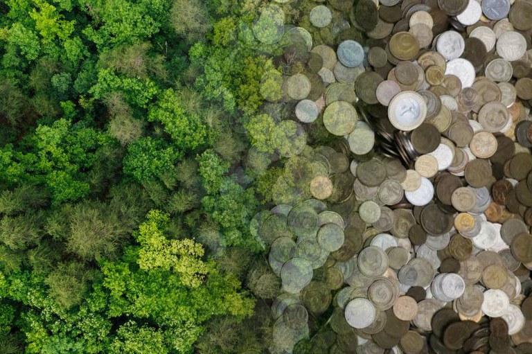 Imagem dividida ao meio: à esquerda, uma floresta vista de cima com copas de árvores verdes e densas; à direita, uma grande quantidade de moedas sobrepostas. A transição entre os dois lados é sutil.