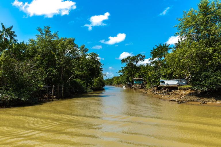 #ParaTodosVerem: A imagem apresenta um rio de águas barrentas com pequenas ondulações, na Ilha do Marajó, cercado por margens cobertas de vegetação densa e árvores altas. À direita, um barco branco está encalhado na margem, parcialmente oculto por árvores. O céu é predominantemente azul e claro.