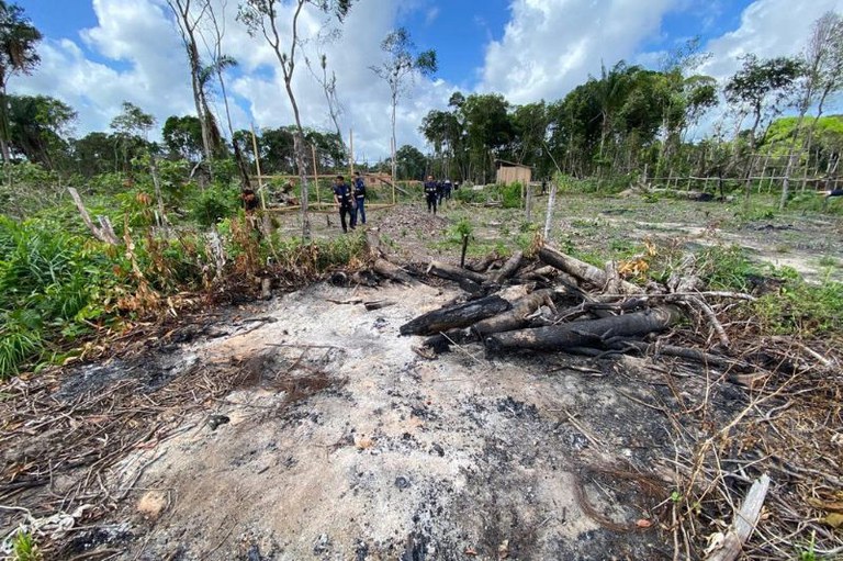 Terreno desmatado com cinzas, troncos queimados, homens de uniforme escuro ao fundo e mata densa sob céu com nuvens.