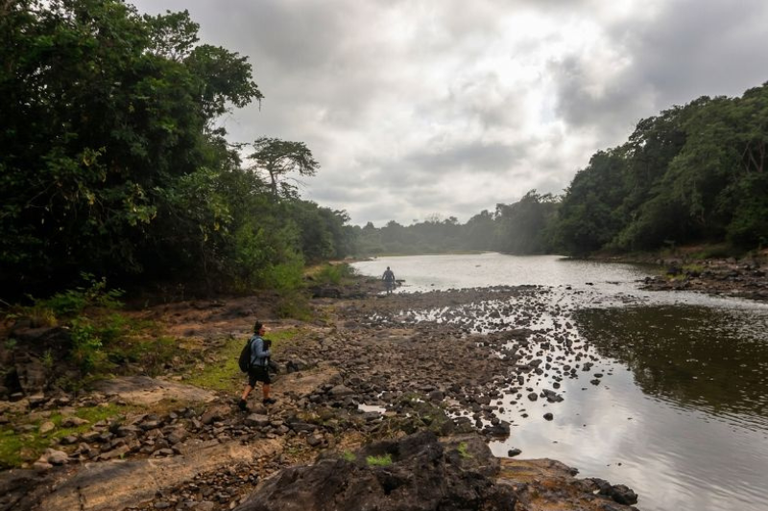 Duas pessoas caminham no leito rochoso de um trecho raso de rio cercado por floresta densa sob um céu nublado.