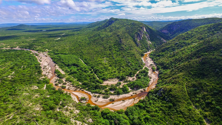 A imagem mostra uma vista aérea de uma paisagem exuberante e verdejante. Um rio de águas rasas serpenteia pelo vale, contornando colinas cobertas por vegetação densa. As montanhas ao fundo se erguem suavemente, formando um cenário natural amplo e cheio de vida.