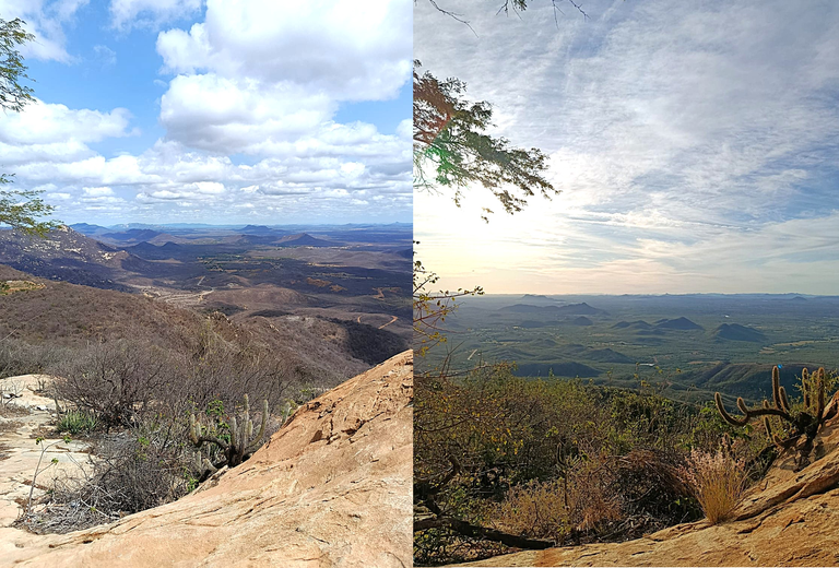 As duas fotos mostram o mesmo cenário da Caatinga visto de um ponto alto, mas em momentos diferentes, antes e depois da chuva. O contraste entre as duas imagens revela a transformação marcante da Caatinga, de um cenário seco e áspero para um ambiente revigorado e fértil após a chegada da chuva.