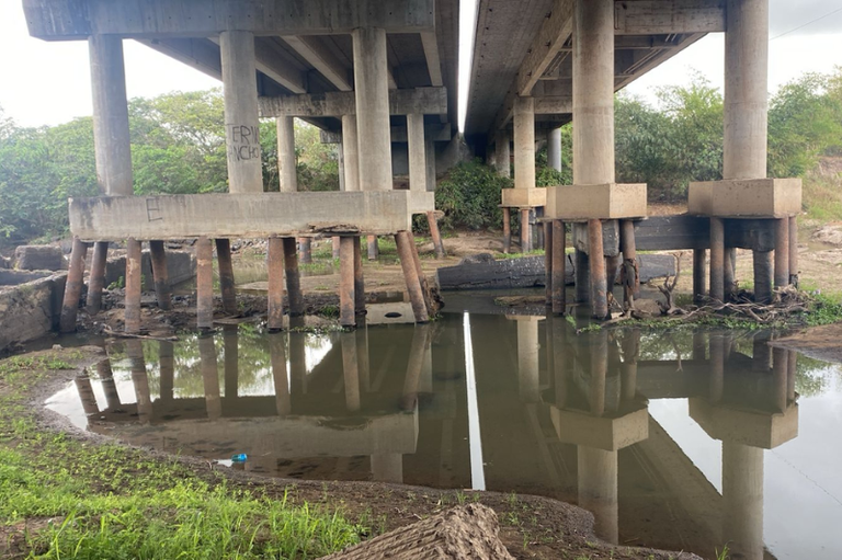 Vista inferior das fundações de uma ponte de concreto sobre o Rio Mamanguape. A imagem revela pilares de sustentação com as bases expostas e desgastadas, mergulhadas em águas rasas e paradas que refletem a estrutura. Há vegetação rasteira nas margens e árvores ao fundo sob um céu nublado.