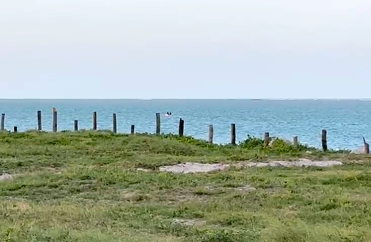 A imagem mostra uma área de vegetação rasteira à beira-mar. No primeiro plano, há gramíneas e pequenas manchas de areia, com uma fileira irregular de estacas de madeira dispostas verticalmente, formando uma cerca simples. Ao fundo, vê-se o mar calmo, de tonalidade azul-esverdeada, e o horizonte se estende sob um céu claro, de coloração azul pálido.