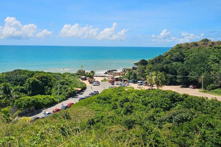 Foto mostra uma vista da praia com o mar bem azul ao fundo e em primeiro plano a vegetação da costa