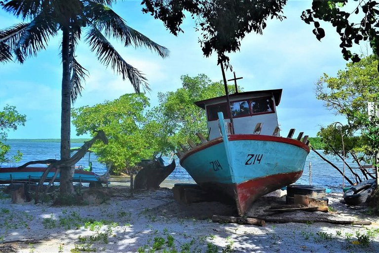 Imagem de um barco de pesca colorido, azul e vermelho, com o número "Z14" pintado na frente, repousando sobre areia clara, cercado por vegetação densa, coqueiros e árvores próximas à margem de um rio ou mar. O céu está azul com poucas nuvens.