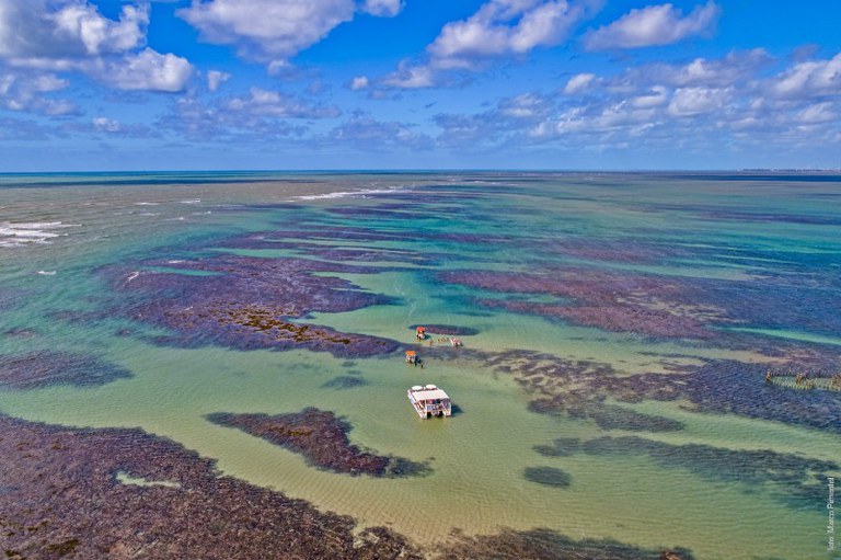 Foto aérea mostra piscina natural em praia