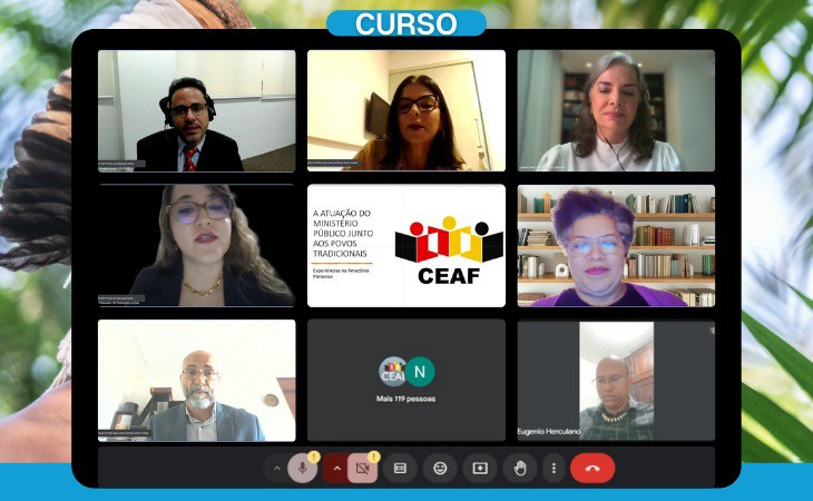 Print de tela de reunião virtual